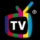 staseraintv.com