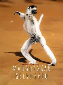 Madagascar selvaggio
