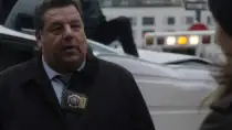 Blue Bloods
