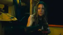 Dangerous Animals