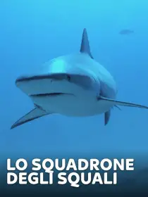 Lo squadrone degli squali