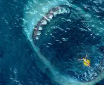 Shark Il Primo Squalo