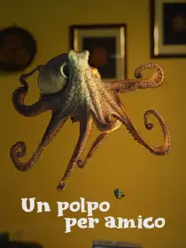 Un polpo per amico
