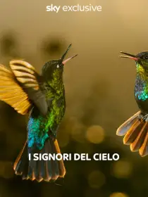 I signori del cielo