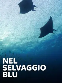 Nel selvaggio blu