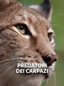 Predatori Dei Carpazi