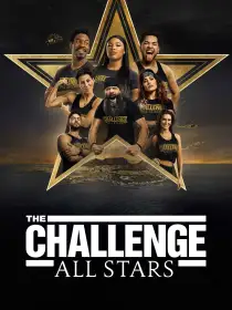 The Challenge: All Stars