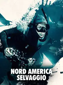 Nord America selvaggio