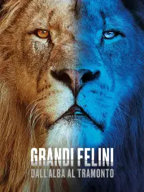 Grandi felini: Dall'alba al tramonto