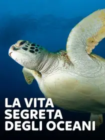 La vita segreta degli oceani