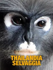 Thailandia selvaggia