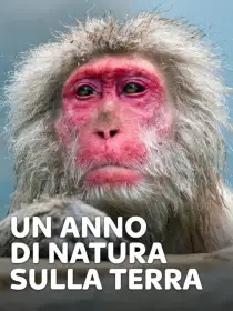 Un anno di natura sulla Terra