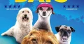 Dog Days, un film per famiglie con protagonista Vanessa Hudgens