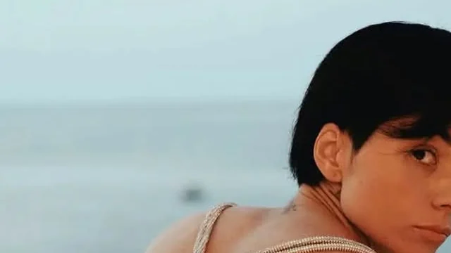 Amici 26