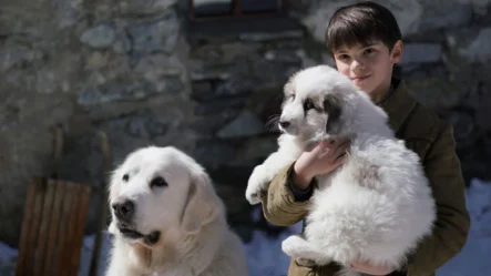 Belle & Sebastien 3 su La5: trama, cast e orario del film di domenica 20 settembre 2026