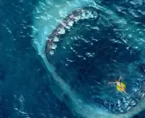 Shark Il Primo Squalo